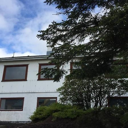 The Perfect Base In Torshavn Apartment Bagian luar foto