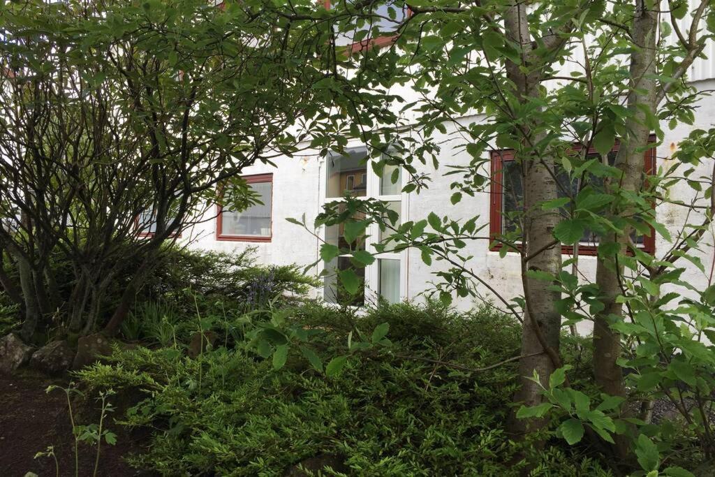 The Perfect Base In Torshavn Apartment Bagian luar foto